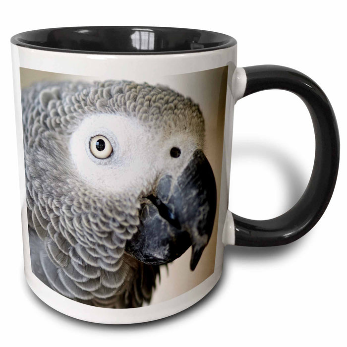 image of 15oz Two-Tone Black Mug