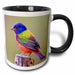 image of 11oz Two-Tone Black Mug