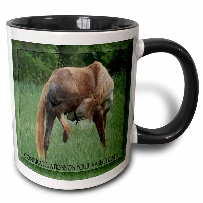 image of 11oz Two-Tone Black Mug