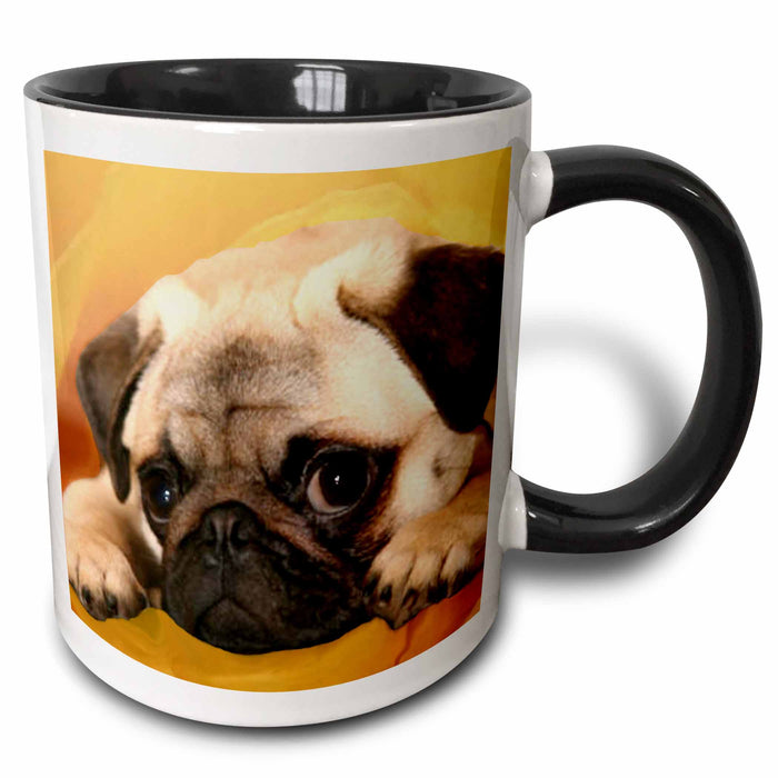 image of 11oz Two-Tone Black Mug