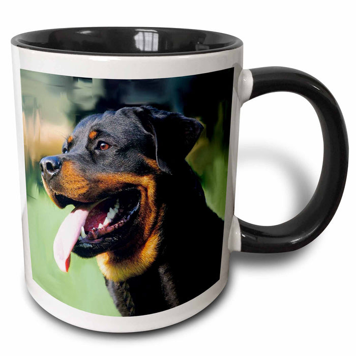 image of 11oz Two-Tone Black Mug