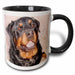 image of 15oz Two-Tone Black Mug