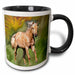 image of 11oz Two-Tone Black Mug