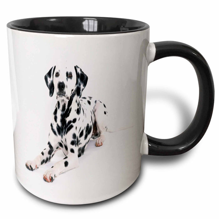 image of 15oz Two-Tone Black Mug