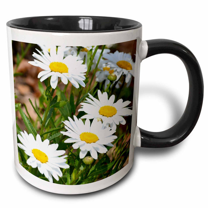 image of 11oz Two-Tone Black Mug