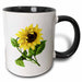 image of 11oz Two-Tone Black Mug