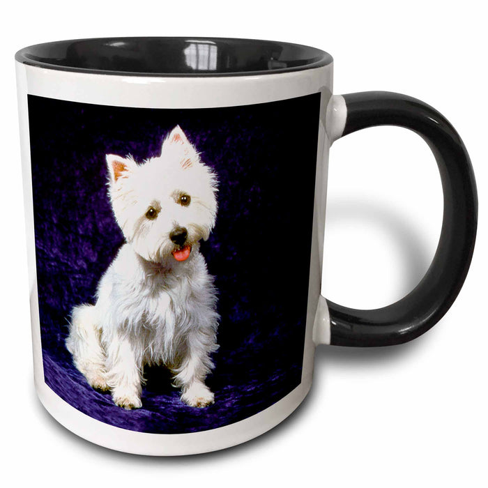 image of 11oz Two-Tone Black Mug