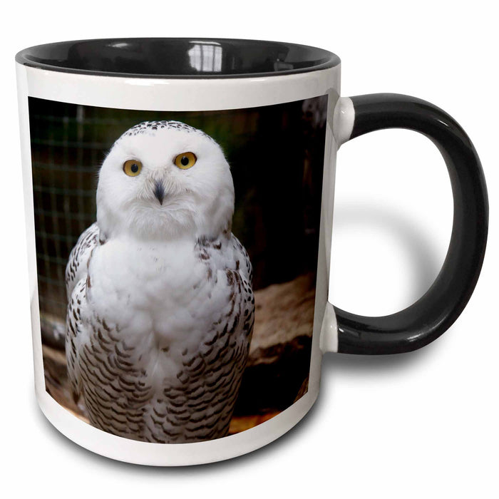 image of 15oz Two-Tone Black Mug