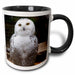 image of 15oz Two-Tone Black Mug