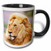 image of 11oz Two-Tone Black Mug