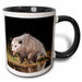 image of 11oz Two-Tone Black Mug