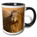 image of 15oz Two-Tone Black Mug