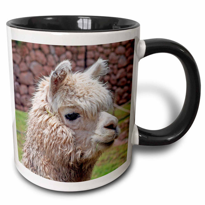 image of 11oz Two-Tone Black Mug