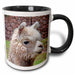 image of 11oz Two-Tone Black Mug