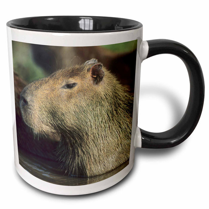 image of 15oz Two-Tone Black Mug