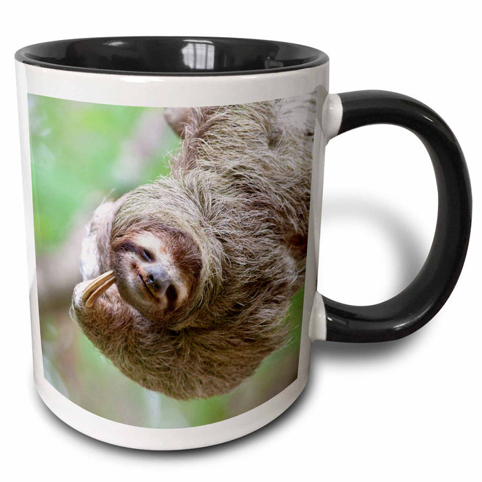 image of 15oz Two-Tone Black Mug