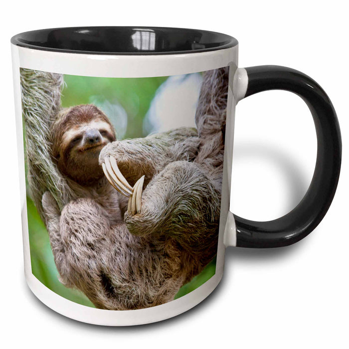 image of 15oz Two-Tone Black Mug