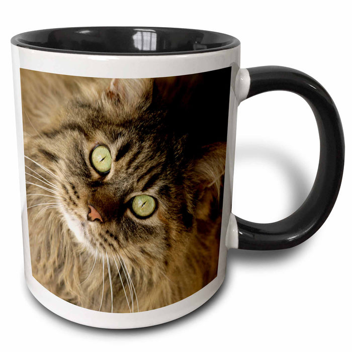 image of 15oz Two-Tone Black Mug