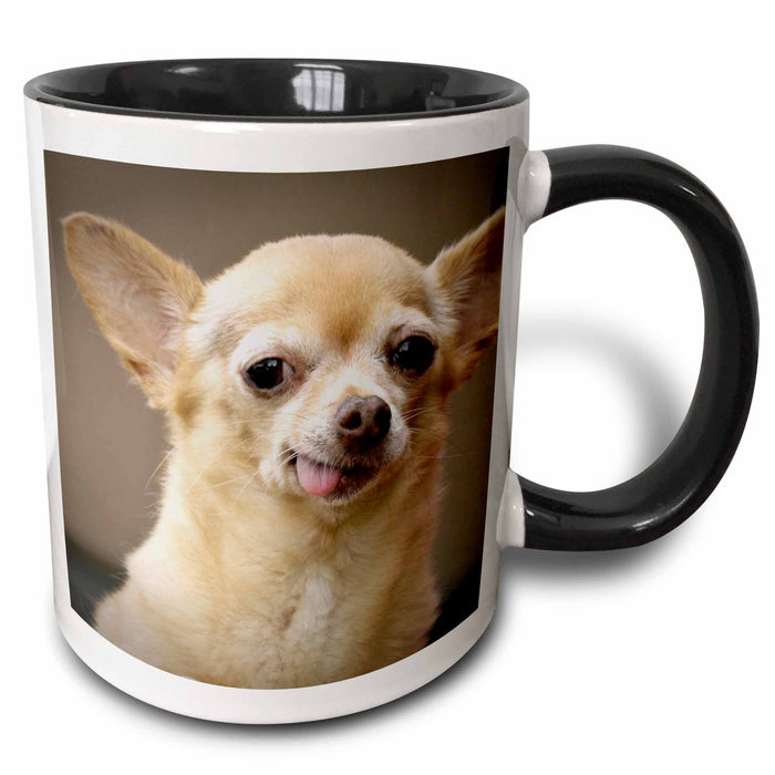 image of 11oz Two-Tone Black Mug