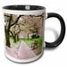 image of 11oz Two-Tone Black Mug