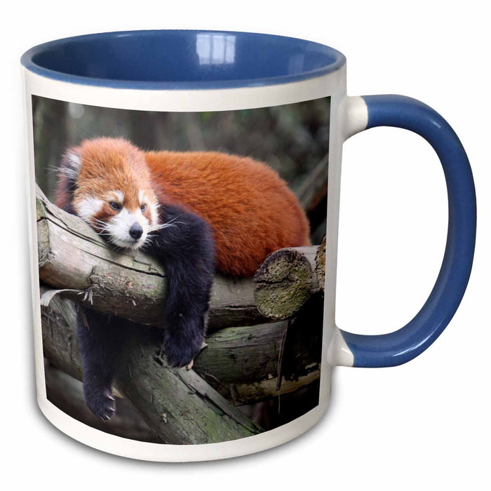 image of 15oz Two-Tone Blue Mug