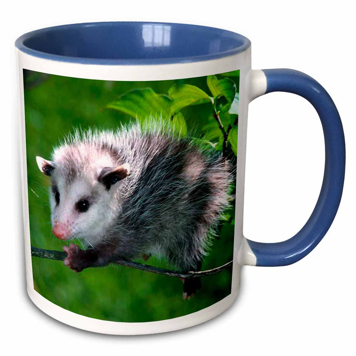 image of 15oz Two-Tone Blue Mug