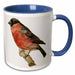 image of 11oz Two-Tone Blue Mug