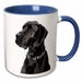 image of 15oz Two-Tone Blue Mug