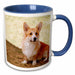 image of 11oz Two-Tone Blue Mug