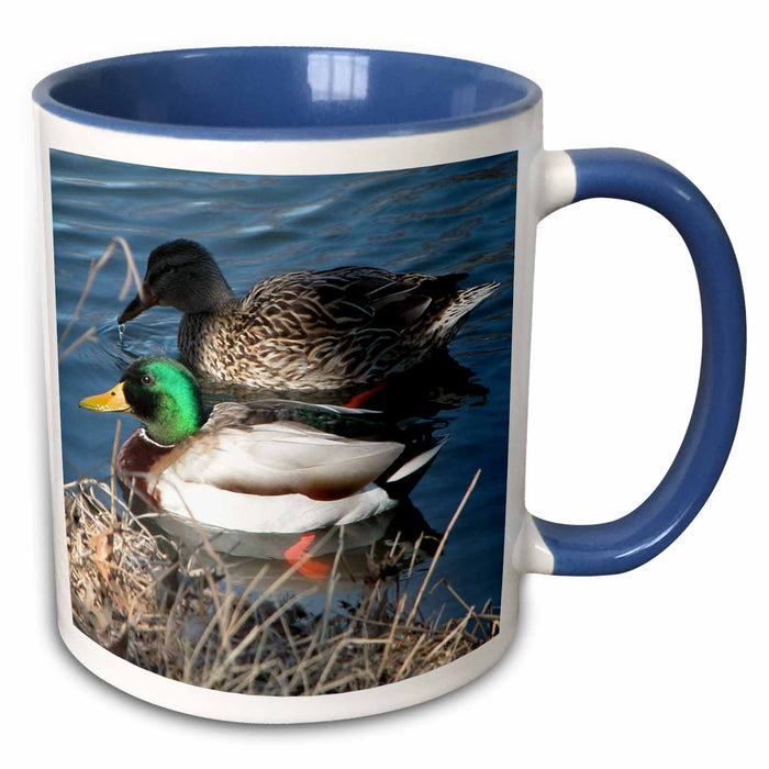 image of 11oz Two-Tone Blue Mug