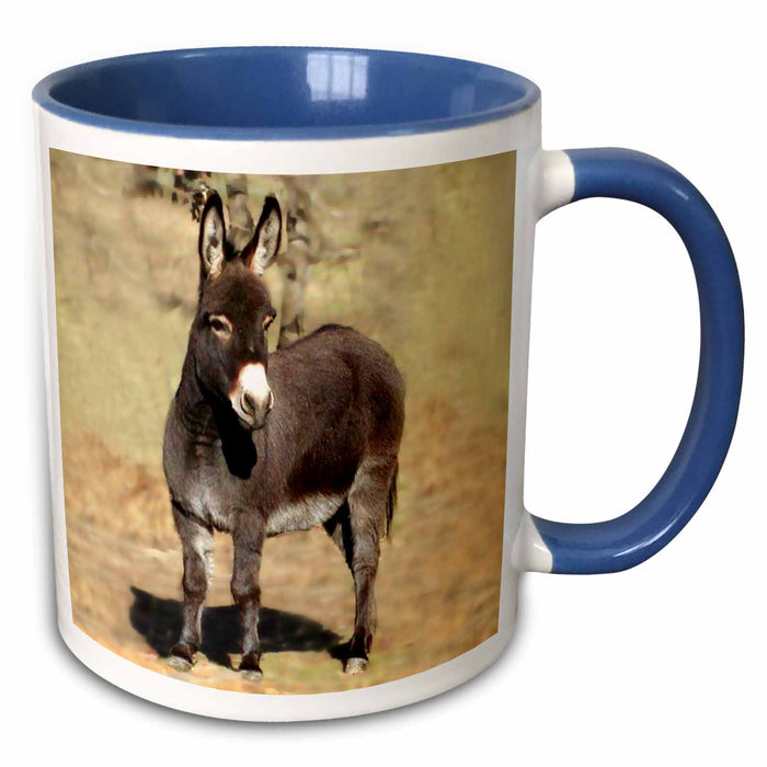 image of 15oz Two-Tone Blue Mug