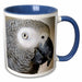 image of 15oz Two-Tone Blue Mug