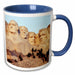 image of 11oz Two-Tone Blue Mug