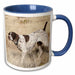 image of 15oz Two-Tone Blue Mug