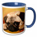 image of 15oz Two-Tone Blue Mug