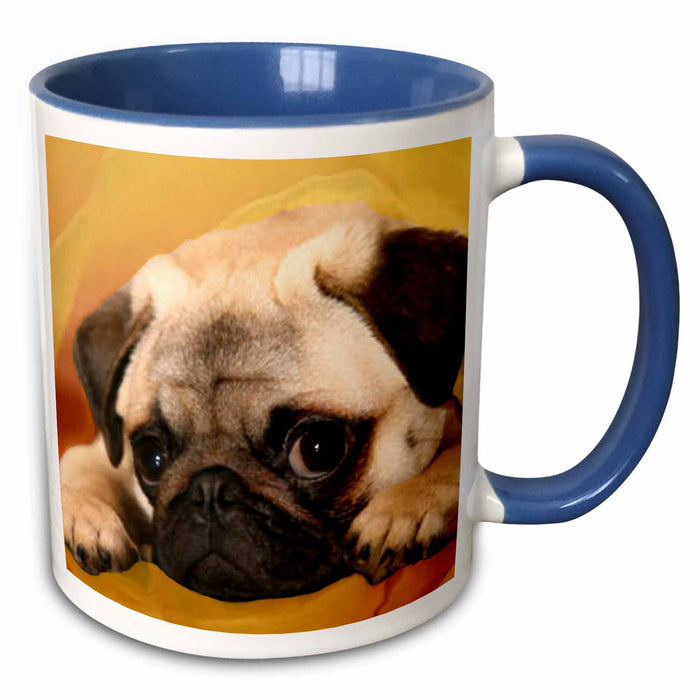 image of 11oz Two-Tone Blue Mug