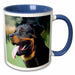 image of 15oz Two-Tone Blue Mug