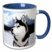 image of 11oz Two-Tone Blue Mug