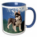 image of 15oz Two-Tone Blue Mug