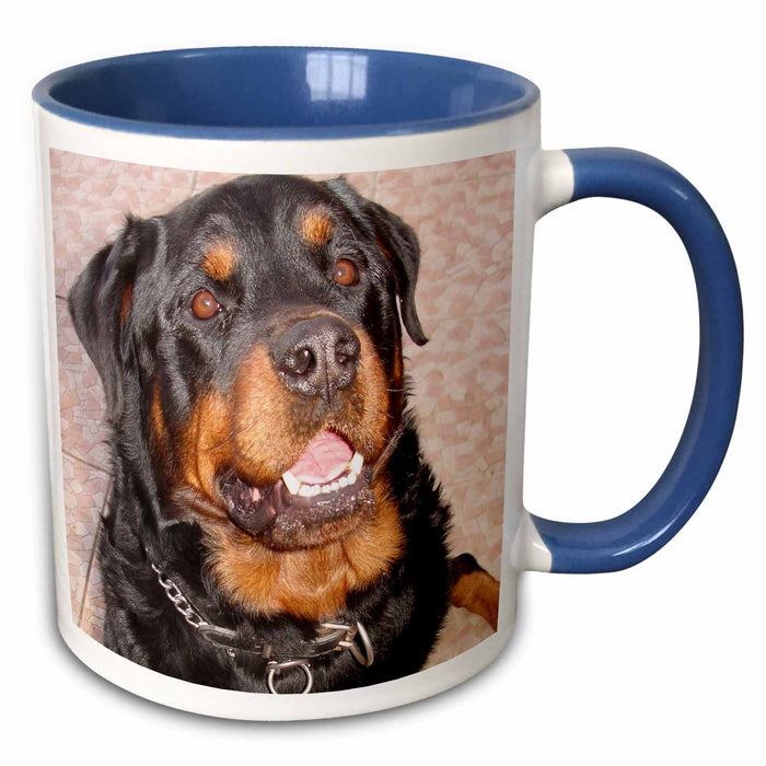 image of 11oz Two-Tone Blue Mug