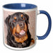 image of 11oz Two-Tone Blue Mug