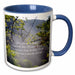 image of 15oz Two-Tone Blue Mug