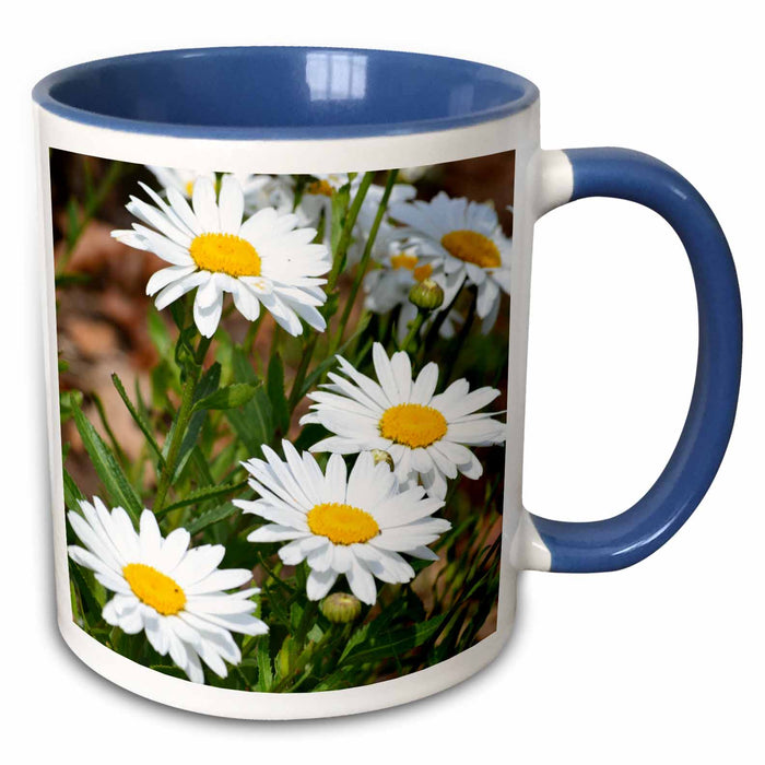 image of 15oz Two-Tone Blue Mug