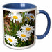 image of 11oz Two-Tone Blue Mug