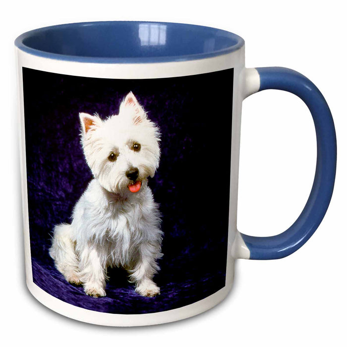 image of 15oz Two-Tone Blue Mug