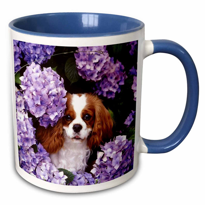 image of 11oz Two-Tone Blue Mug