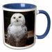 image of 11oz Two-Tone Blue Mug