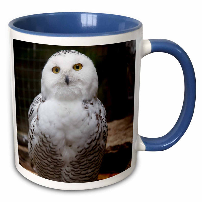 image of 15oz Two-Tone Blue Mug