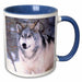 image of 11oz Two-Tone Blue Mug