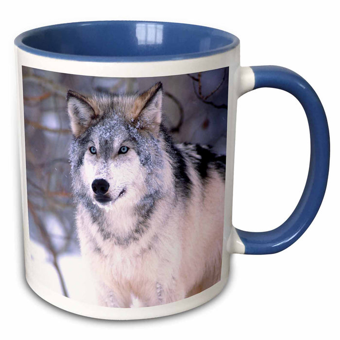 image of 15oz Two-Tone Blue Mug